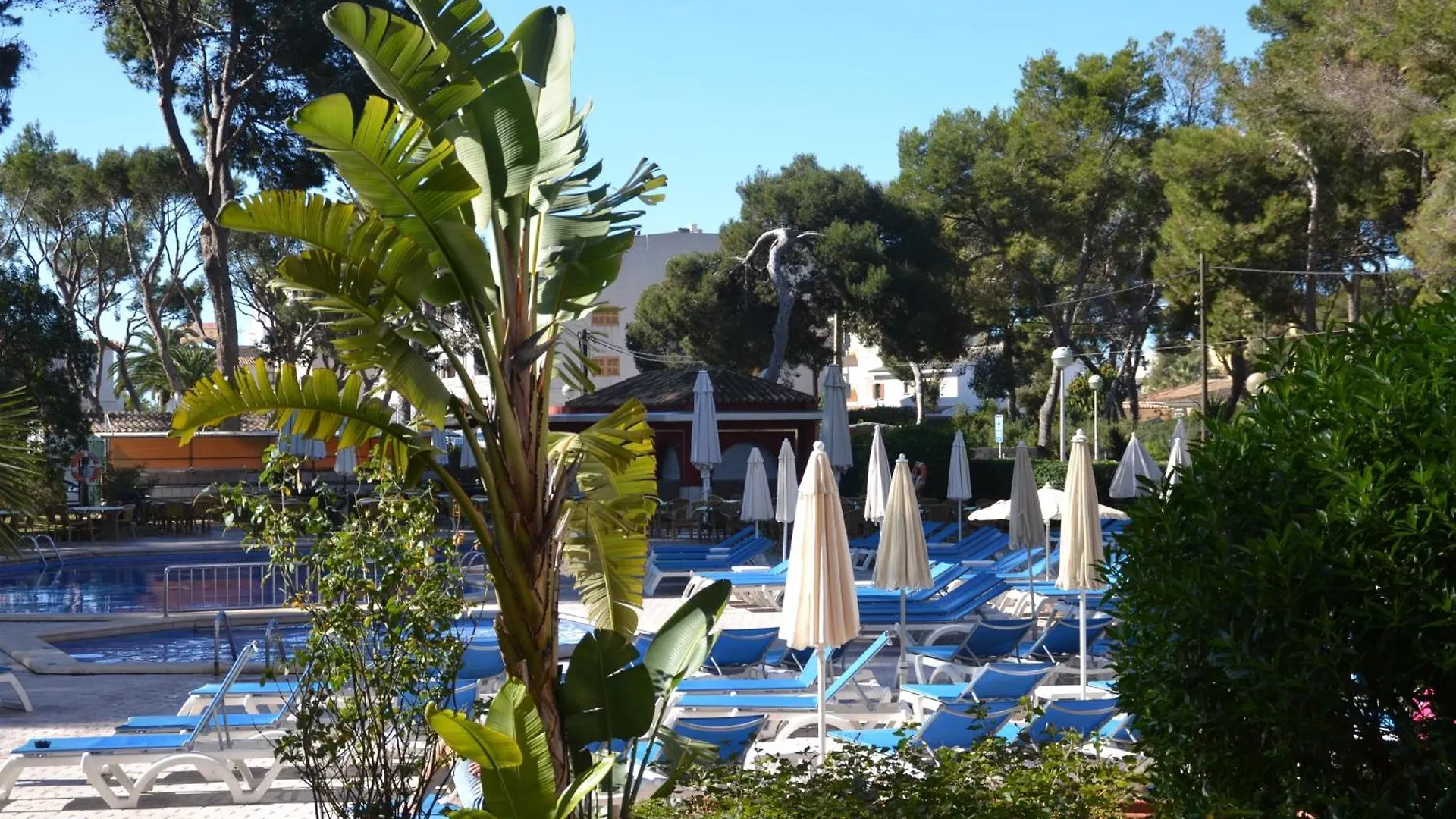 Hotel Pabisa Sofia Playa de Palma